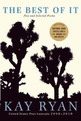 bokomslag The Best of It: New and Selected Poems