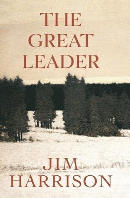 bokomslag Great Leader