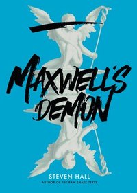 bokomslag Maxwell's Demon