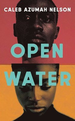 Open Water 1