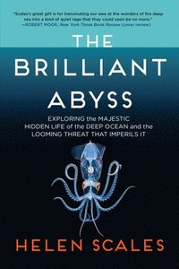 bokomslag Brilliant Abyss