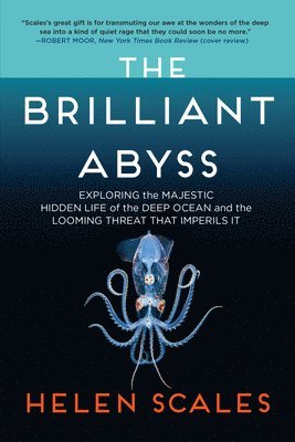 bokomslag Brilliant Abyss