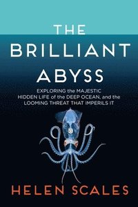 bokomslag The Brilliant Abyss