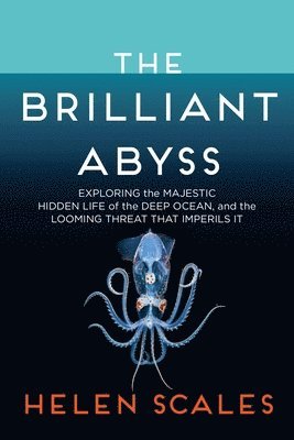 bokomslag The Brilliant Abyss