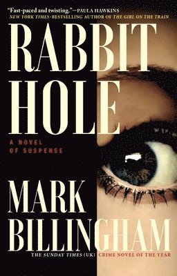 bokomslag Rabbit Hole