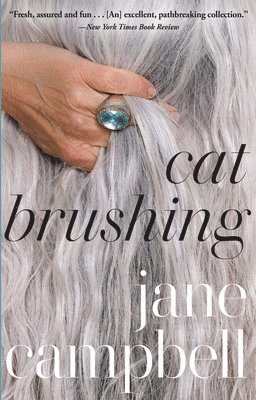 bokomslag Cat Brushing