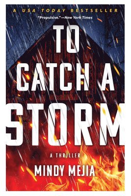 Mindy Mejia - To Catch a Storm, Häftad