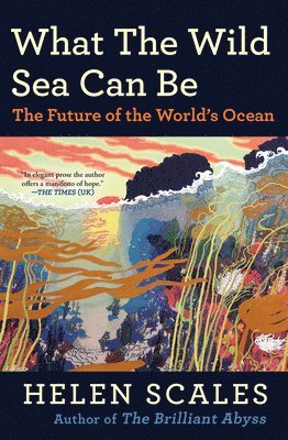 Helen Scales - What the Wild Sea Can Be, Häftad