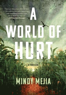 bokomslag World of Hurt