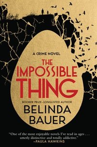 bokomslag The Impossible Thing