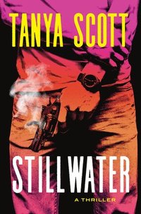 bokomslag Stillwater: A Luke Harris Thriller