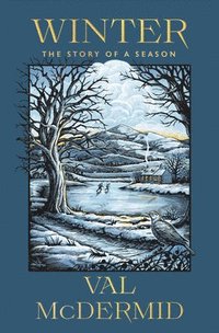 bokomslag Winter