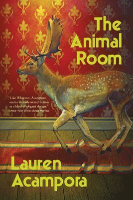 Lauren Acampora - Animal Room, Inbunden