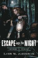 bokomslag Escape Into the Night