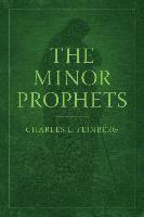 bokomslag Minor Prophets, The