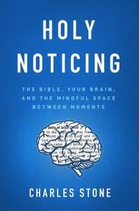 bokomslag Holy Noticing
