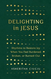 bokomslag Delighting In Jesus