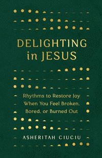 bokomslag Delighting in Jesus: Rhythms to Restore Joy When You Feel Broken, Bored, or Burned Out