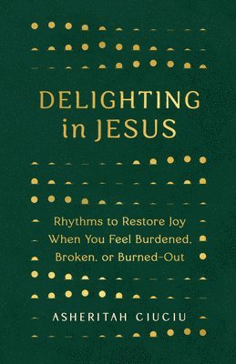 bokomslag Delighting In Jesus