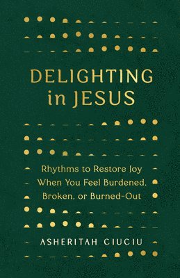 bokomslag Delighting in Jesus: Rhythms to Restore Joy When You Feel Broken, Bored, or Burned Out