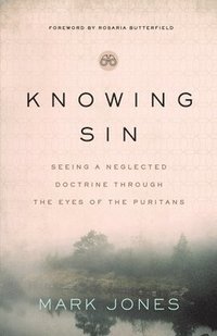 bokomslag Knowing Sin
