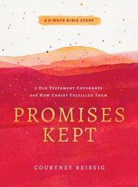 bokomslag Promises Kept