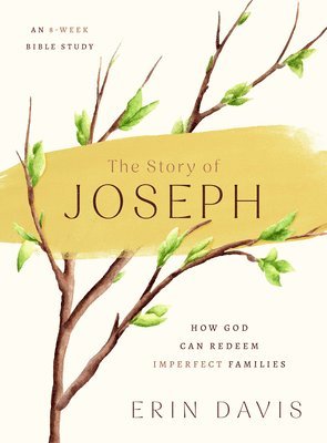 bokomslag Story of Joseph, The