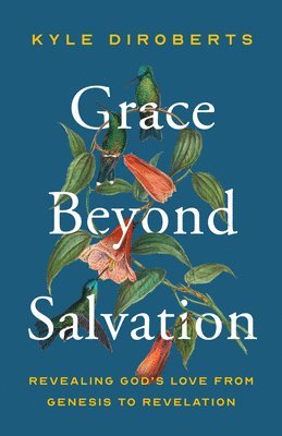 bokomslag Grace Beyond Salvation