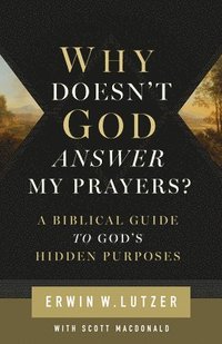 bokomslag Why Doesn't God Answer My Prayers?