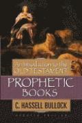 bokomslag Introduction to the Old Testament Prophetic Books, An