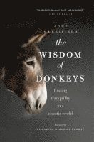 Andy Merrifield - The Wisdom of Donkeys, Häftad