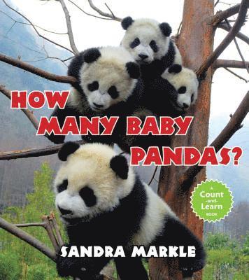 Sandra Markle - How Many Baby Pandas?, Häftad