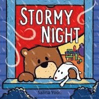 bokomslag Stormy Night