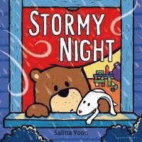 Stormy Night 1