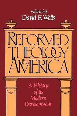 bokomslag Reformed Theology in America