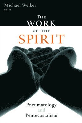 Michael Welker - Work of the Spirit, Häftad