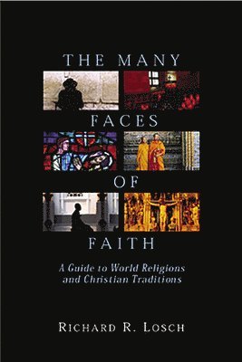bokomslag The Many Faces of Faith