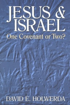 bokomslag Jesus and Israel