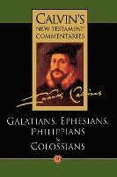 bokomslag Calvin's New Testament Commentaries: Vol 11 The Epistles of Paul the Apostle to the Galatians, Ephesians, Philippians, and Colossians