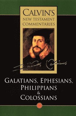 John Calvin, David W. Torrance - The Epistles of Paul the Apostle to the Galatians, Ephesians, Philippians and Colossians, Häftad