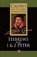 bokomslag Calvin's New Testament Commentaries: Vol 12 The Epistle of Paul the Apostle to the Hebrews and the First and Second Epistles of St. Peter