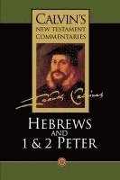 bokomslag Calvin's New Testament Commentaries: Vol 12 The Epistle of Paul the Apostle to the Hebrews and the First and Second Epistles of St. Peter