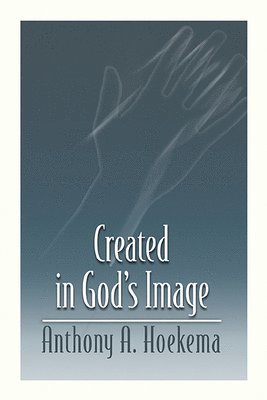 bokomslag Created in God's Image