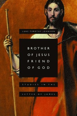 bokomslag Brother of Jesus, Friend of God