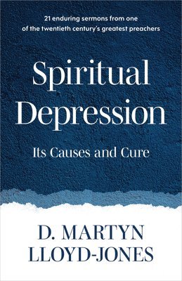 bokomslag Spiritual Depression