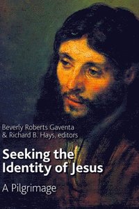bokomslag Seeking the Identity of Jesus