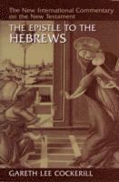 bokomslag Epistle to the Hebrews