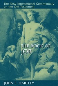 bokomslag Book of Job