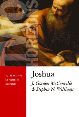 J. Gordon McConville, Stephen N. Williams - Joshua, Häftad