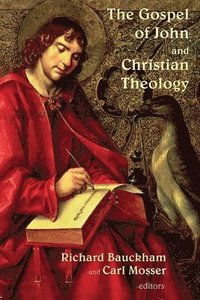bokomslag Gospel of John and Christian Theology